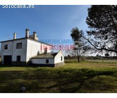Finca rústica de 15ha en Calzada, Toledo