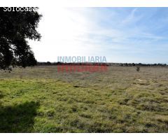 Finca rústica de 15ha en Calzada, Toledo