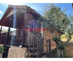 Finca rústica en el corazón de la comarca La Vera, provincia de Cáceres.