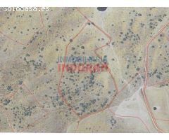 Finca rústica de 5,3 ha en Villar del Pedroso