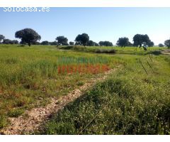 Finca rústica en Peraleda de la Mata