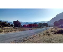 Finca rústica de 345ha en Jaén