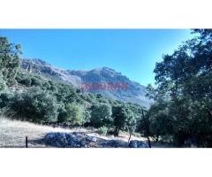 Finca rústica de 345ha en Jaén