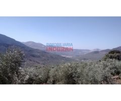 Finca rústica de 345ha en Jaén