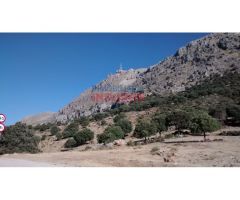 Finca rústica de 345ha en Jaén