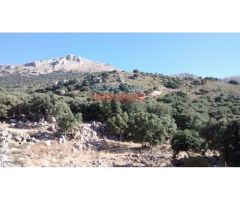 Finca rústica de 345ha en Jaén