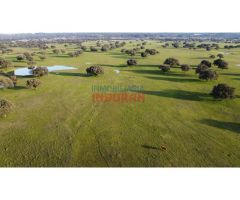 Finca ganadera de 206ha en Saucedilla
