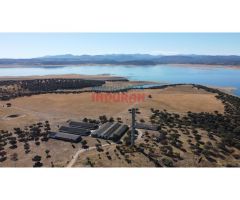 Finca de 60ha en Peraleda de la Mata con regadío.