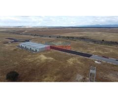 Solares industriales en PI Puerta de Extremadura - Peraleda de la Mata