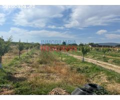 Finca de regadío con almendros en Saucedilla
