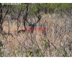 Finca rústica de 640ha en Puertollano