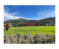 Finca de 100 ha con coto de caza, de recreo en Piedrabuena (Ciudad Real)