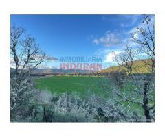 Finca de 100 ha con coto de caza, de recreo en Piedrabuena (Ciudad Real)
