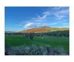 Finca de 100 ha con coto de caza, de recreo en Piedrabuena (Ciudad Real)