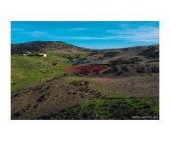 Finca de 255 ha para ganado, caza y recreo con edificaciones en Montemolín