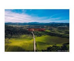 Finca de 255 ha para ganado, caza y recreo con edificaciones en Montemolín
