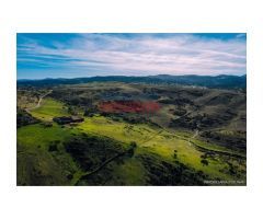 Finca de 255 ha para ganado, caza y recreo con edificaciones en Montemolín