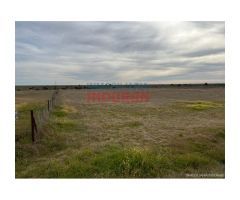 Finca de 2,05 hectáreas, llana, parte cerrada. Ideal para recreo en Casatejada