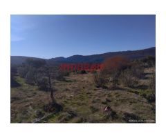 Finca de 32 hectáreas cerrada con malla cinegética, con encinas grandes y toda