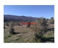Finca de 32 hectáreas cerrada con malla cinegética, con encinas grandes y toda