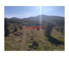 Finca de 32 hectáreas cerrada con malla cinegética, con encinas grandes y toda