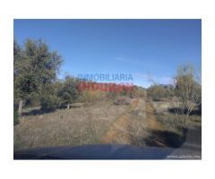 Finca de 32 hectáreas cerrada con malla cinegética, con encinas grandes y toda