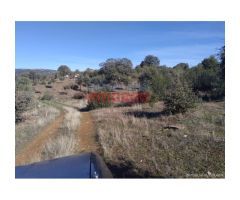 Finca de 32 hectáreas cerrada con malla cinegética, con encinas grandes y toda