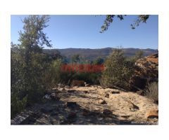 Finca de 32 hectáreas cerrada con malla cinegética, con encinas grandes y toda