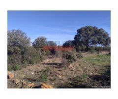 Finca de 32 hectáreas cerrada con malla cinegética, con encinas grandes y toda