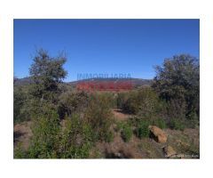 Finca de 32 hectáreas cerrada con malla cinegética, con encinas grandes y toda