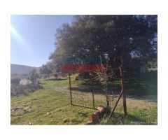 Finca de 32 hectáreas cerrada con malla cinegética, con encinas grandes y toda
