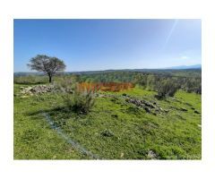 Finca de 85 hectáreas, cerrada y acuartelada en Valdelacasa del Tajo