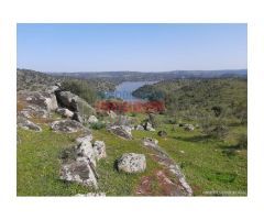Finca de 85 hectáreas, cerrada y acuartelada en Valdelacasa del Tajo
