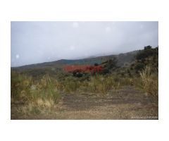 Finca de 85 hectáreas, cerrada y acuartelada en Valdelacasa del Tajo