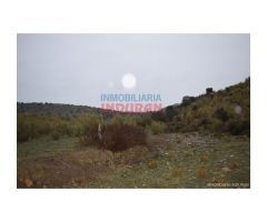 Finca de 85 hectáreas, cerrada y acuartelada en Valdelacasa del Tajo