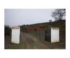 Finca de 85 hectáreas, cerrada y acuartelada en Valdelacasa del Tajo
