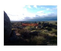 Finca de 6,3 ha, cerrada parte con paredes de piedra en Villar del Pedroso