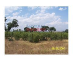 Finca de 284 ha vallada con casa en Alcántara