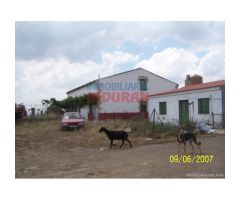 Finca de 284 ha vallada con casa en Alcántara