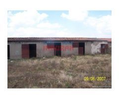 Finca de 284 ha vallada con casa en Alcántara