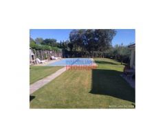 Finca de 7200 m2 con casa de 120 m2 en Urbanización La Narota de Belvis de