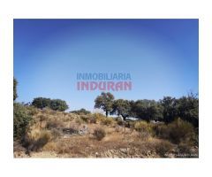 Finca de 1,93 ha cerrada y ganadera en Valdehuncar