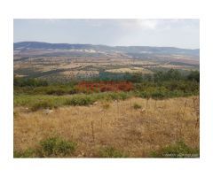 Finca de 573 ha de monte bajo y alto, con caza mayor y caza menor