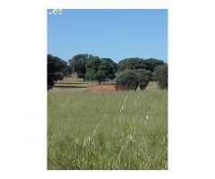 Finca ganadera de 9,3 ha poblada de encinas centenarias, tiene varias