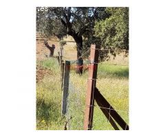 Finca ganadera de 9,3 ha poblada de encinas centenarias, tiene varias