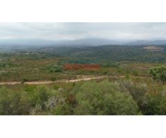 Finca rústica de 555 ha, ideal para uso cinegético y ganadero, con varios