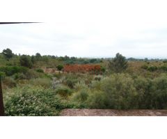 Finca rústica de 555 ha, ideal para uso cinegético y ganadero, con varios