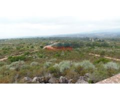 Finca rústica de 555 ha, ideal para uso cinegético y ganadero, con varios