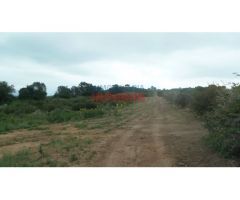 Finca rústica de 555 ha, ideal para uso cinegético y ganadero, con varios
