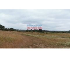 Finca rústica de 555 ha, ideal para uso cinegético y ganadero, con varios